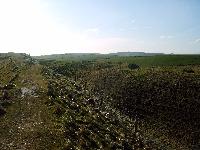 Maiden Castle northern defences
